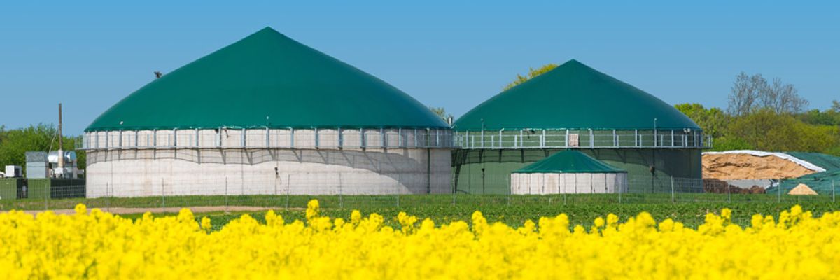Organics Recycling