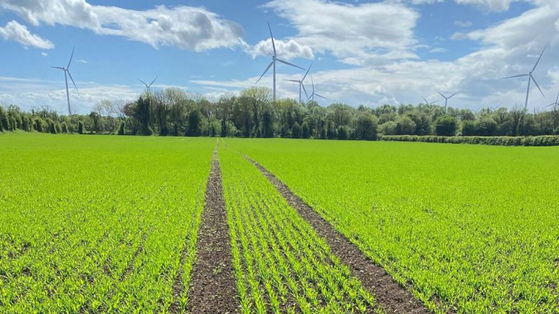 The Autumn Feed: Key Nutrients for Crop Resilience and Yield