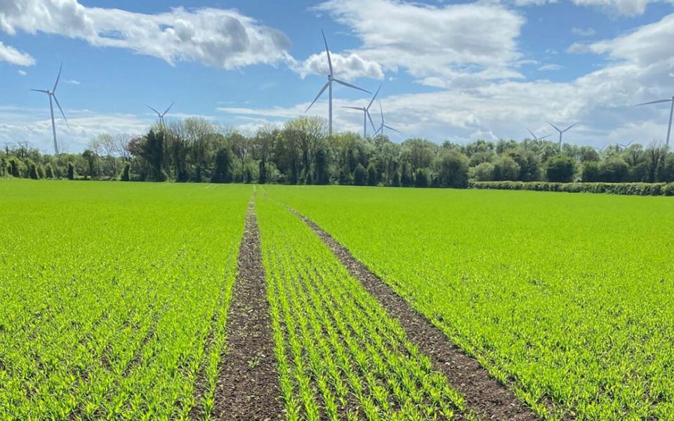 The Autumn Feed: Key Nutrients for Crop Resilience and Yield