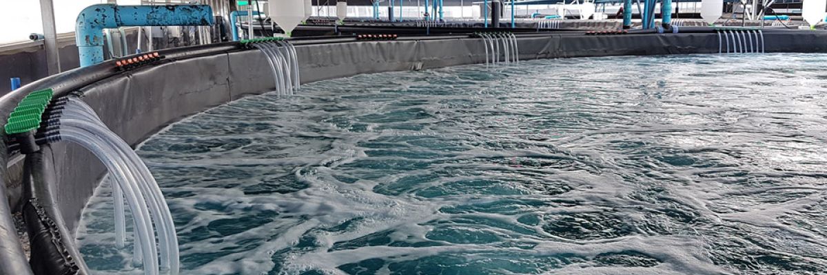  Aquaculture